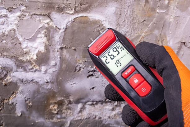 Best Residential Mold Removal  in Stagecoach, NV